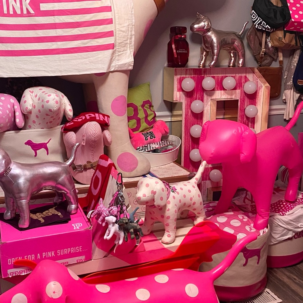 Pink and Silver Dog display